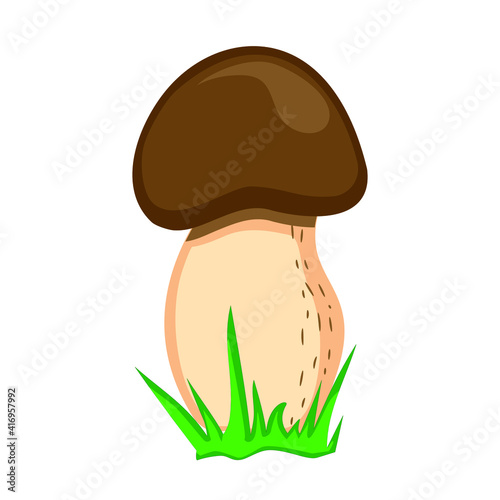 Vector drawing of a forest mushroom on a white isolated background in a flat style, cartoon. Autumn bright beautiful mushroom, cards, stickers, T-shirts.