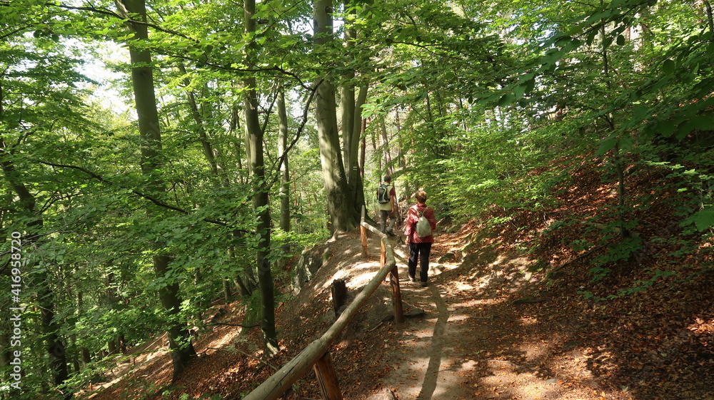 Sächsische Schweiz Wanderung im Wald und durch Felsenlandschaft Sächsische Schweiz Wanderung im Wald und durch Felsenlandschaft