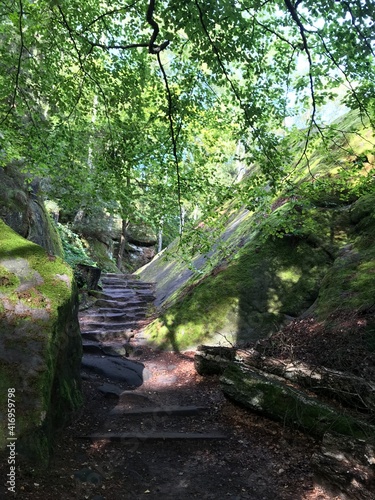 S  chsische Schweiz Wanderung im Wald