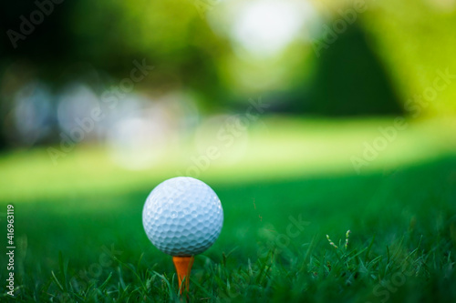 Wallpaper Mural golf ball on green grass Torontodigital.ca
