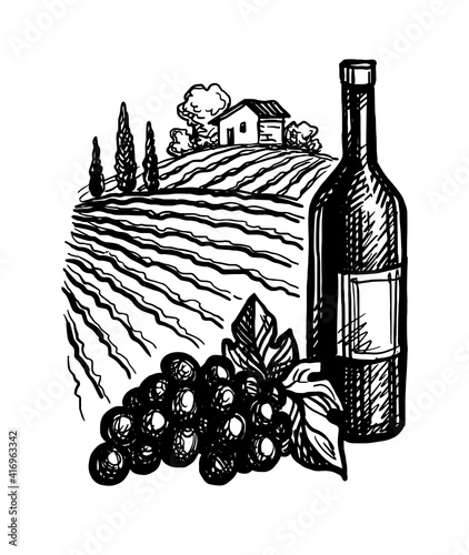 Wine ink sketch.