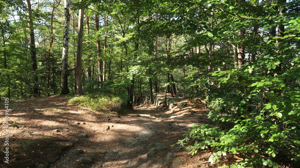 Sächsische Schweiz Wanderung im Wald Sächsische Schweiz Wanderung im Wald
