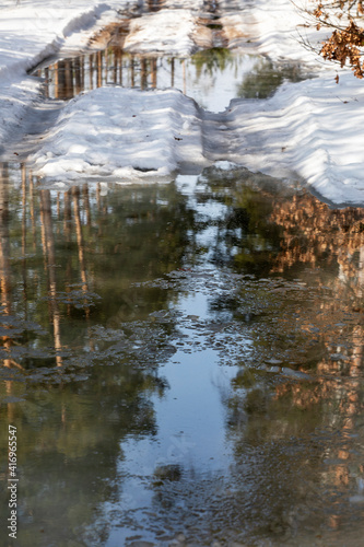 reflections of a pine forest with snow in a puddle on a sunny day vertical.