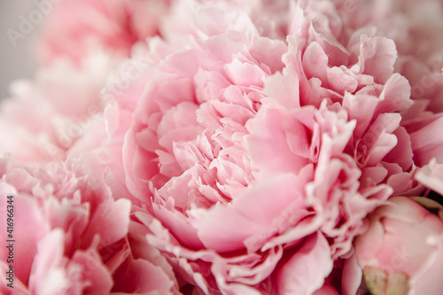 pink peonies in pastel colors close-up  flower pattern  vintage photo processing