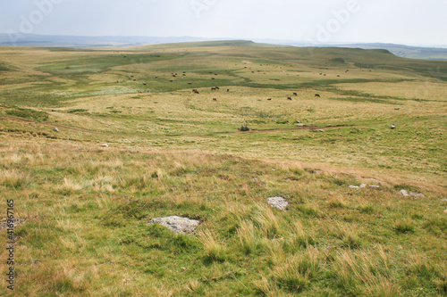 Quadro su tela Le plateau de Millevaches appelé « Montagne limousine », est un grand plateau granitique français situé en Nouvelle-Aquitaine, dans l'historique Limousin, dont il constitue la partie la plus élevée