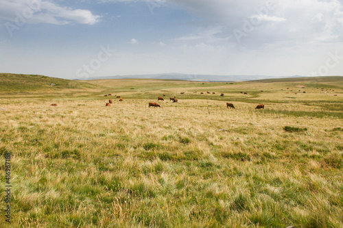 Foto Le plateau de Millevaches appelé « Montagne limousine », est un grand plateau granitique français situé en Nouvelle-Aquitaine, dans l'historique Limousin, dont il constitue la partie la plus élevée