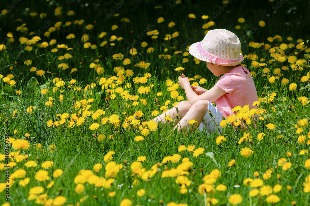 petite fille coiffée d'un chapeau en train de faire un bouquet au milieu d'un champ de pissenlit au printemps petite fille coiffée d'un chapeau en train de faire un bouquet au milieu d'un champ de pissenlit au printemps
