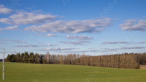 Small forest