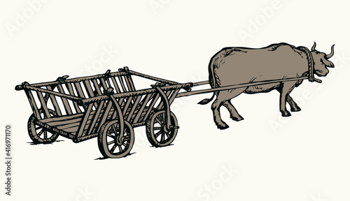 Empty cart drawn by oxen. Vector drawing