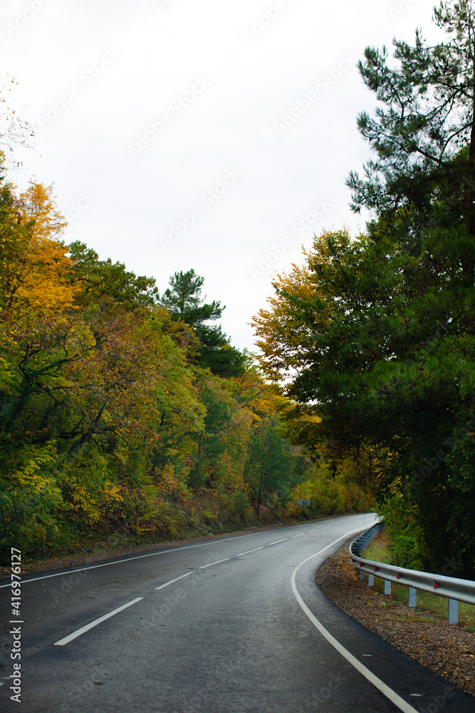 Obraz premium The road through the autumn forest