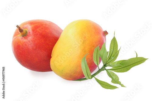 Two red - yellow mango with sprig isolated on white