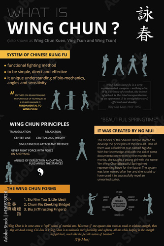 Infographic of the Wing Chun photo