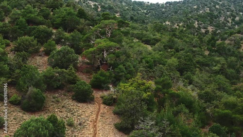 Aerial view. Flight over the slope of a mountain covered with juniper forest. photo