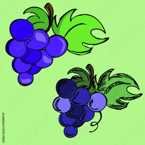 Bunches of grapes in two styles, logo, label for the production of wine or juice, healthy fruit, vitamin bomb. Sketch and simple vector on a green background. Stock image, isolated.