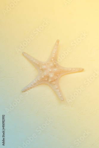 Starfish on textured background. Beach vacation concept, travel. Toned photo, selective focus, fog view