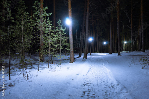 Illuminated path in a winter park at night. A footpath in the snow in the middle of a coniferous forest. Lanterns shine at night in the winter forest. Green fir trees in white snow.