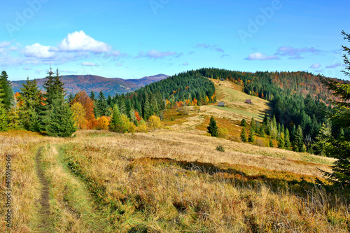 Fototapeta Naklejka Na Ścianę i Meble -  Mountain view with meadow and colorful autumn trees, Gorce mountains, Poland