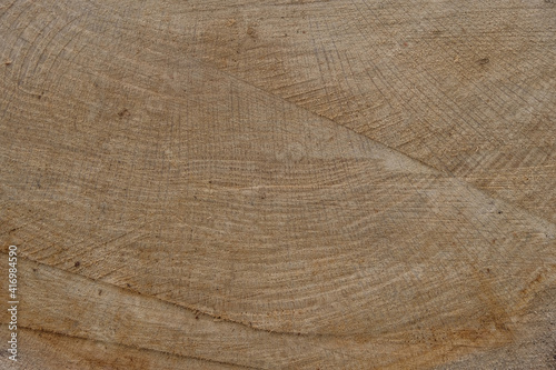 Rough oak surface. Raw material. Traces of the saw. Copy space.