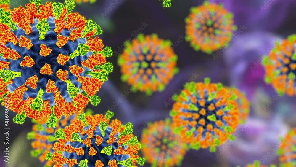Measles virus. 3D animation showing measles viruses with surface glycoprotein spikes heamagglutinin-neuraminidase (orange) and fusion protein (green) Measles virus. 3D animation showing measles viruses with surface glycoprotein spikes heamagglutinin-neuraminidase (orange) and fusion protein (green)