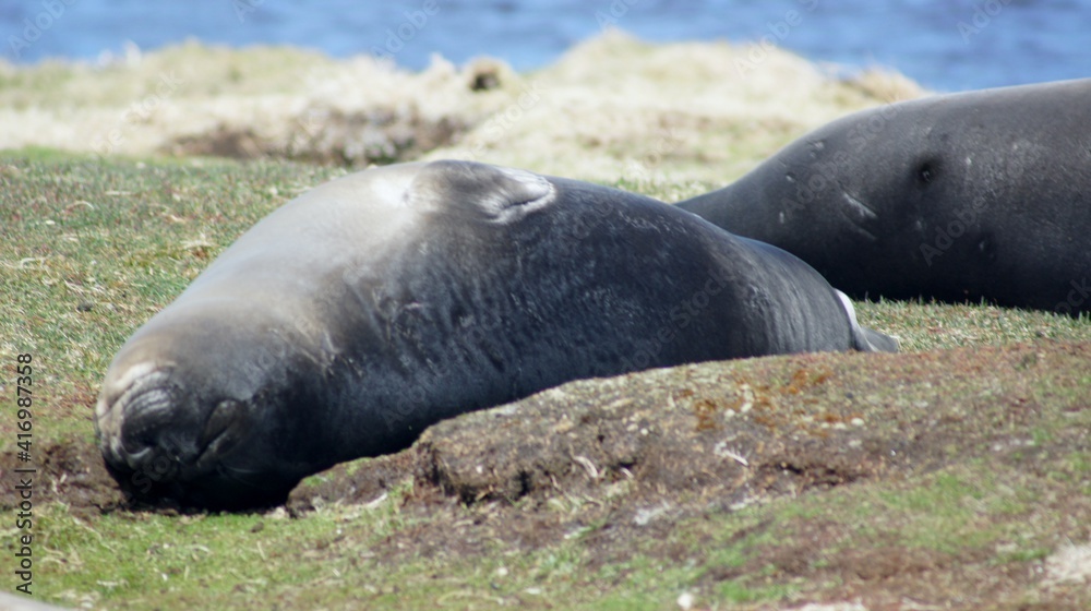 Fototapeta premium SONY DSC