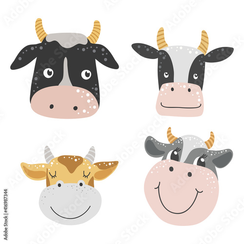 Isolated face of cows on a white background, Vector