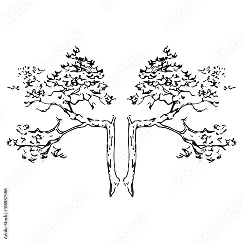 Symmetrical floral design with two tree branches. Stylized double tree. Hand drawn linear ink sketch. Black silhouette on white background. Isolated vector illustration. 