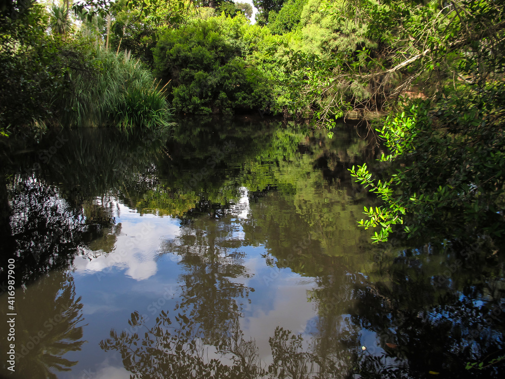 calm pond in the park with reflections of trees and clouds