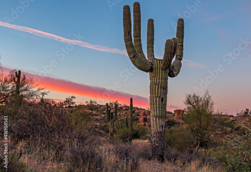 Lone Saguaro Cactus At Dawn in Arizona Desert © Ray Redstone