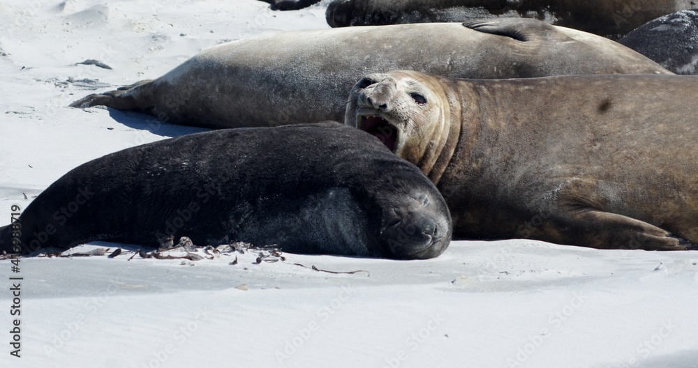 Fototapeta premium SONY DSC