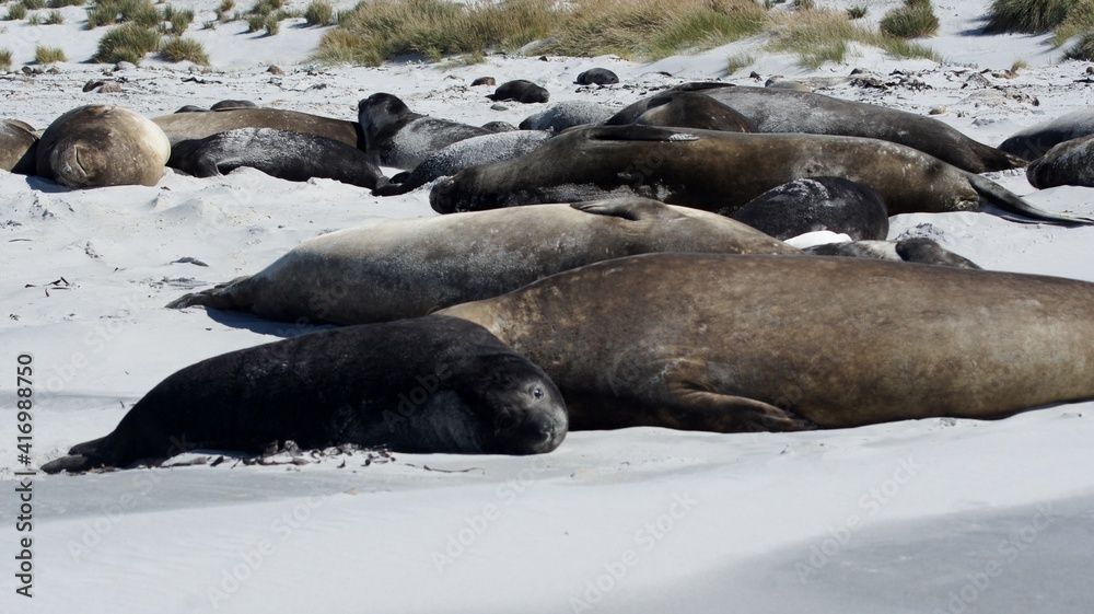 Obraz premium SONY DSC