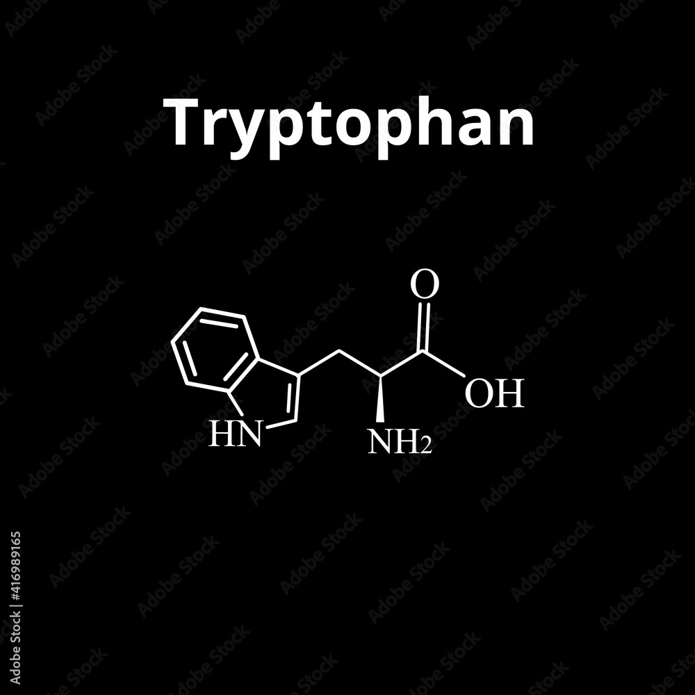 Tryptophan amino acid. Chemical molecular formula of tryptophan amino acid. Vector illustration on isolated background