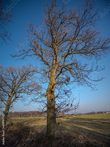 Northern Germany landscape