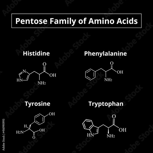 A family of amino acids pentoses. Chemical molecular formulas of amino acids histidine, phenylalanine, tyrosine, tryptophan. Vector illustration on isolated background