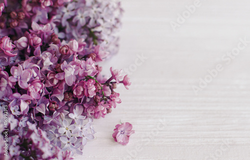 Tender lilac flowers close up on white wood in soft light  space for text. Happy womens day