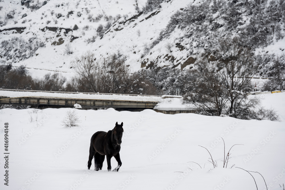 Naklejka premium wild horses graze against the backdrop of the mountains of ancient ruined towers and the fallen snow