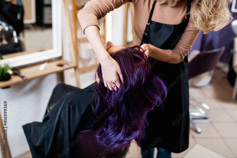 Fototapeta premium Beautiful hairstyle of young adult woman with purple hair in hair salon.