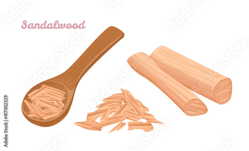 Sandalwood in spoon isolated on  white background. Chandan sticks. Vector illustration in cartoon flat style.