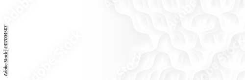 Abstract White Gray background. Wave pattern. Blur neutral backdrop. Curve texture. Lecture, seminar, symposium, workshop, conference or briefing presentation template. White vector illustration