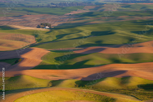 Rolling wheat fields in springtime in the Palouse area of Washington state 