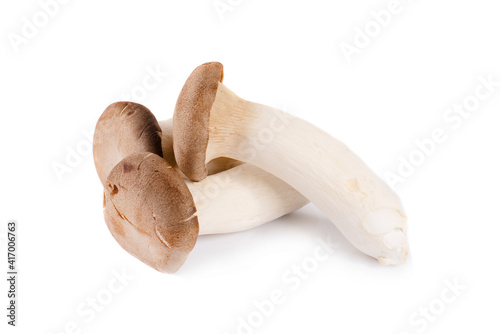 Pleurotus eryngii mushrooms on white background photo