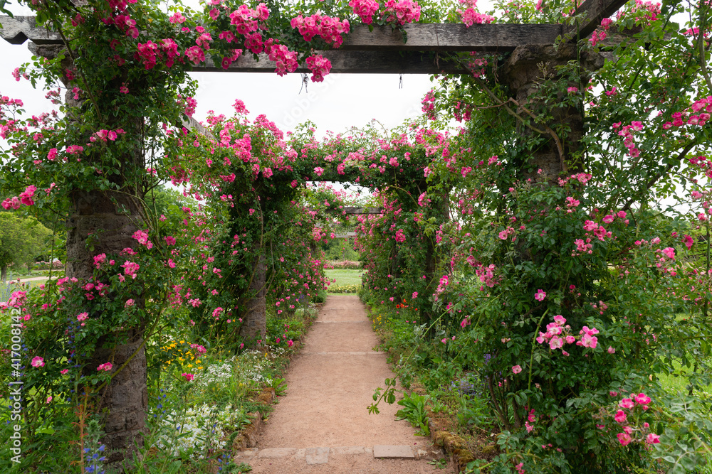 rosen garten durchganz torbogen weg mit blumen blühen