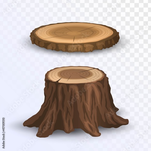 Round cut log and stump