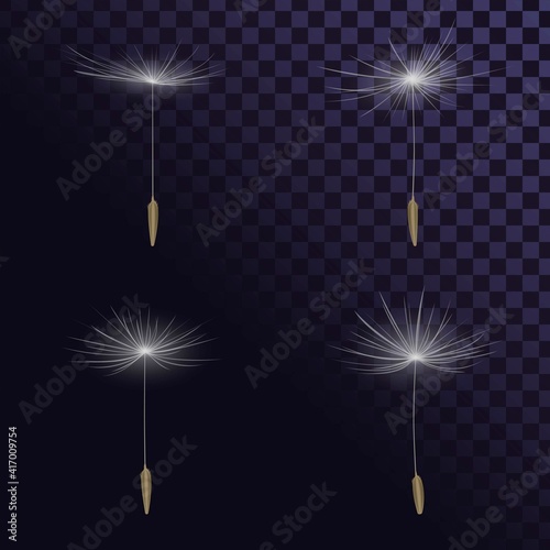 Dandelion seeds set on transparent background