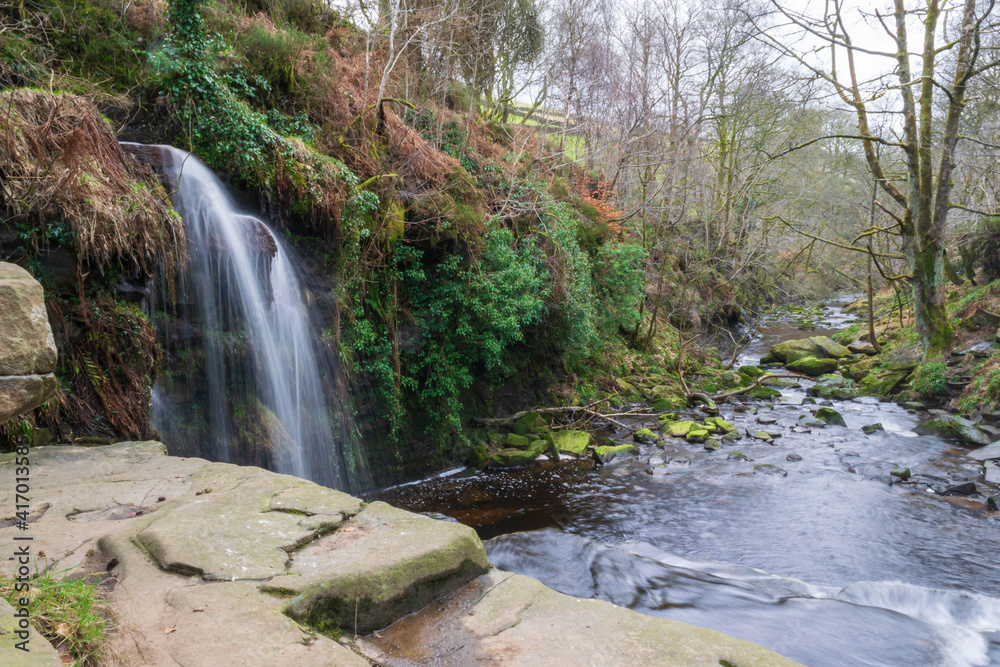 waterfall in the forest waterfall in the forest