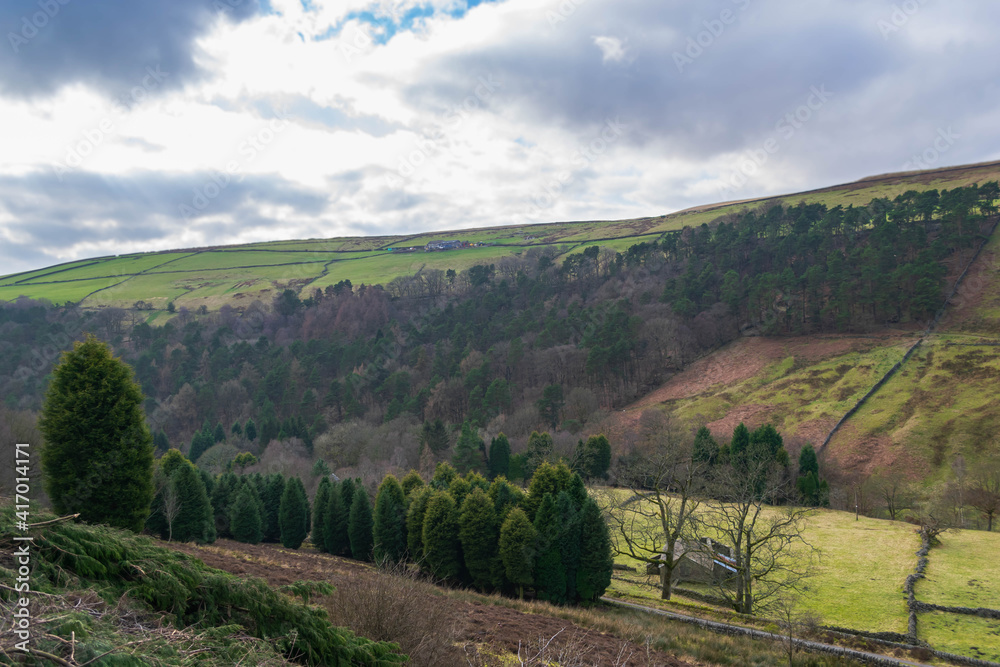 Naklejka premium Yorkshire Fields