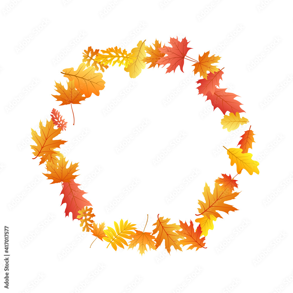 Oak, maple, wild ash rowan leaves vector, autumn foliage on white background. Oak, maple, wild ash rowan leaves vector, autumn foliage on white background.