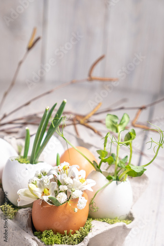 Canvas Print easter decor in a natural style