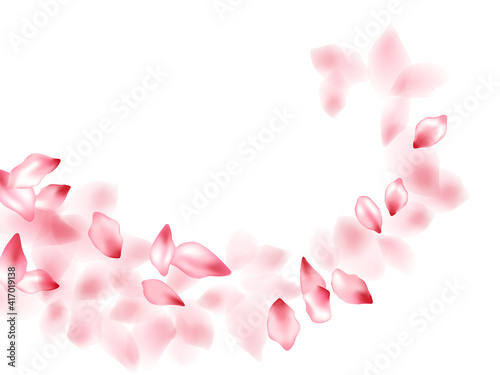 Pink sakura flower flying petals isolated on white vector background.