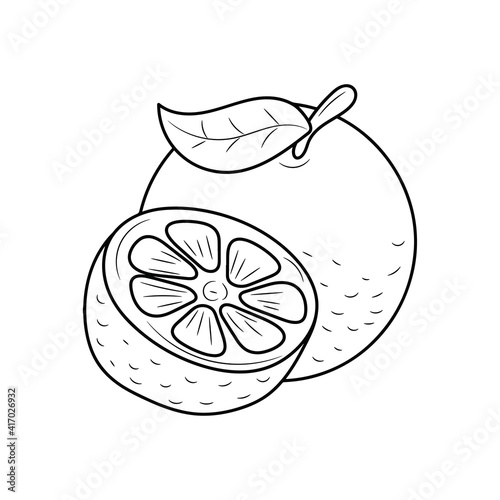 Orange fruit line icon, doodle fresh fruits vector illustration 