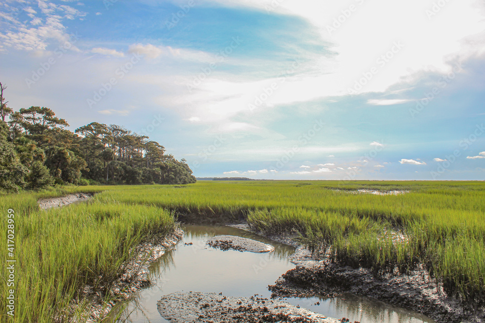 Fototapeta premium South Carolina Marsh